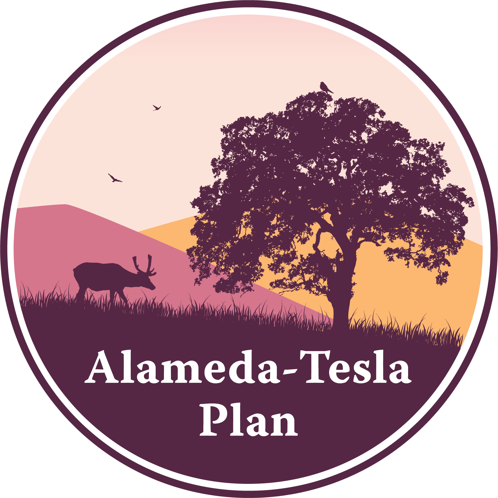 Logo_Alameda Tesla_FINAL_v2